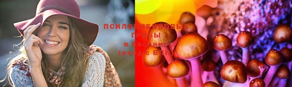 амфетамин Богородицк