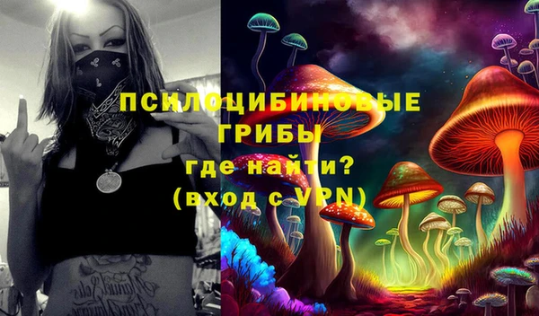 амфетамин Богородицк