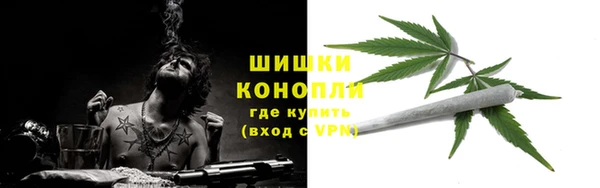 тгк Богданович