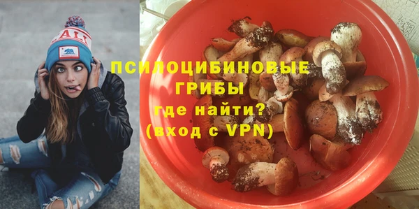 тгк Богданович