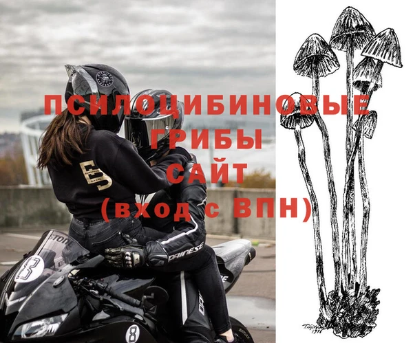 тгк Богданович