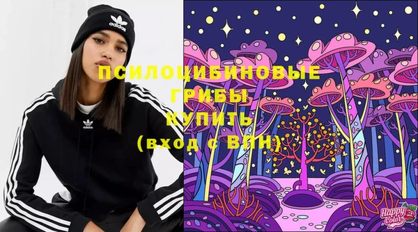 тгк Богданович