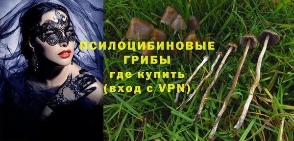 амф Богородск